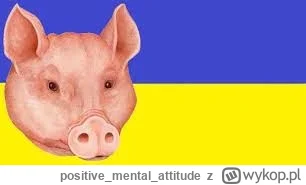 positivementalattitude - @Kumpel19: 
Ukraińska Narodowa Agencja Zapobiegania Korupcji...