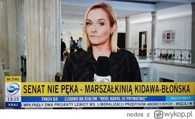 nedos - Śmieszki w TVN24 #polityka