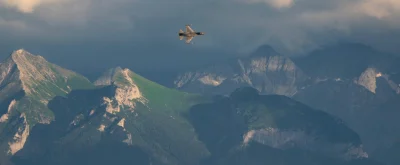 KonwersatorZabytkow - Ja wiem wykopki, że wy jesteście ekspertami od wszystkiego i wy...