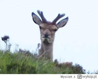 Mysciak - Brawo Świder
#mecz