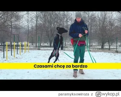 paramyksowiroza - @jalop: Zła kolejność. Najpierw uczysz psa, żeby reagował na wołani...