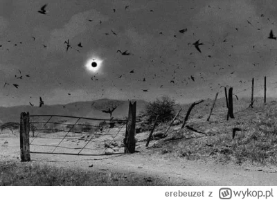 erebeuzet - Zaćmienie słońca w Chiapas (Meksyk) 1991r .
- Antonio Turok
#forografia #...