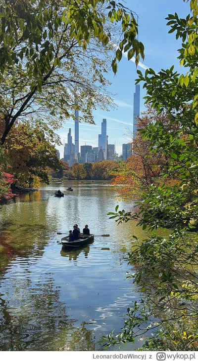 LeonardoDaWincyj - @R2D2zSosnowca Przez te ołówkowce wygląda jak dzieło a.i. Przy oka...