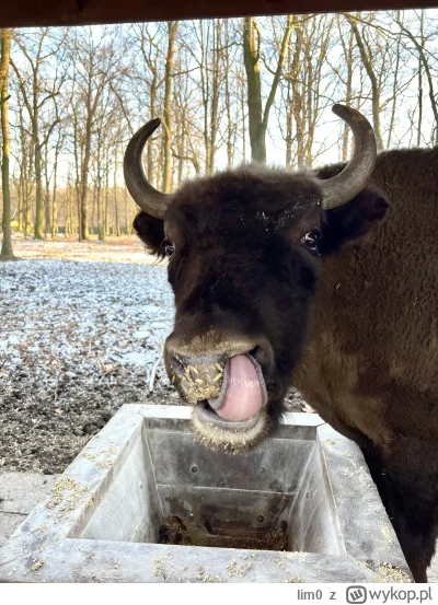 lim0 - @wybryk_natury: a tu moje