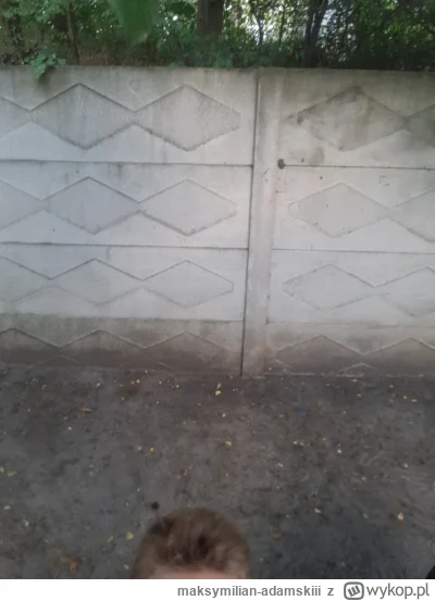 maksymilian-adamskiii - Podziwiam widoki!! (⌐ ͡■ ͜ʖ ͡■)