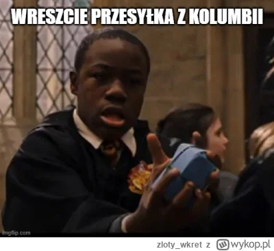 zloty_wkret - #harrypotter