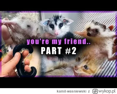 kamil-wasniewski - @Dantte:  Super! Nowi koledzy o których nie wiedziałem.