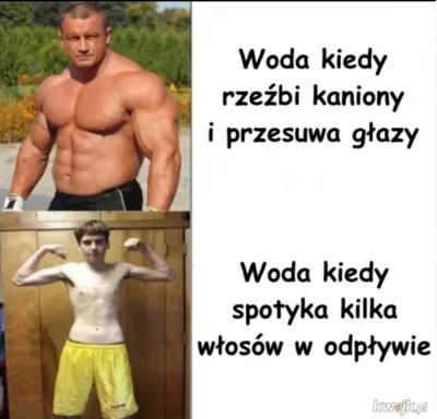 paczelok