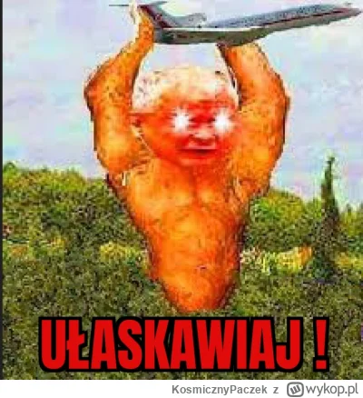 KosmicznyPaczek - Kaczyńskiemu już po nogach z pieluchy leci.

#polityka #heheszki #b...