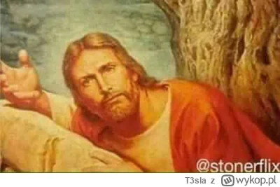 T3sla - @mirko_anonim Jezu, co ja przeczytałem...