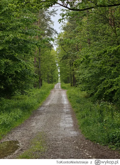 ToKontoNieIstnieje - #przegryw #spierdotrip
Spierdotripuje se bo co innego