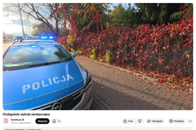 Itslilianka - ale konfitura tu zeszmacił oskiego policjanta. Huop chciałby tak #przeg...