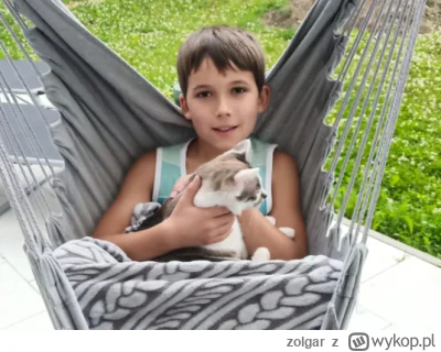 zolgar - Jeżeli ktoś mógłby zaplusować mój ostatni wpis (który niestety w ogóle się n...