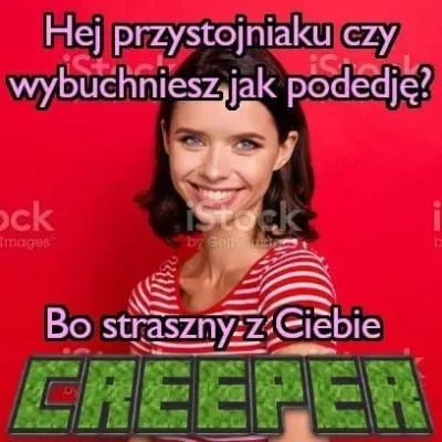 niedorzecznybubr - #przegryw #minecraft