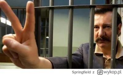 Springfield - @Xahil: Leszek w więzieniu Arkham po zamieszkach Komitetu Obrony Demokr...