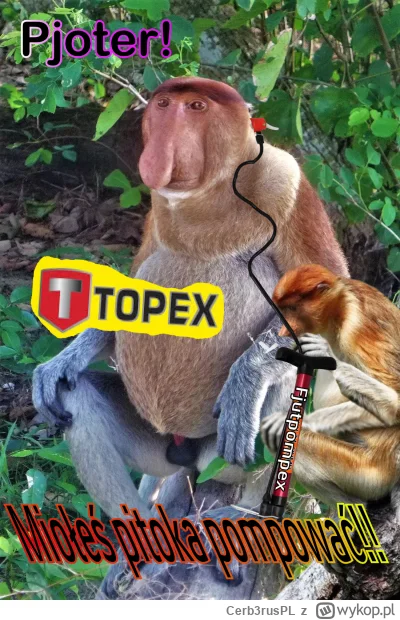 Cerb3rusPL - #konkursnanajbardziejgownianymemznosaczem 

Firma Topex poleca pompki do...