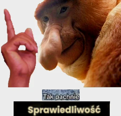 pawello321 - @suzaku0: Fajne takie, bez sensu, ale sprawiedliwe