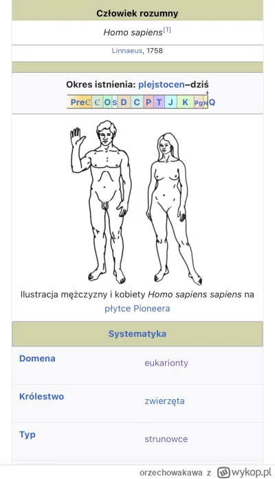 orzechowakawa - @patryk-milanoyt: spałeś na lekcjach biologii?