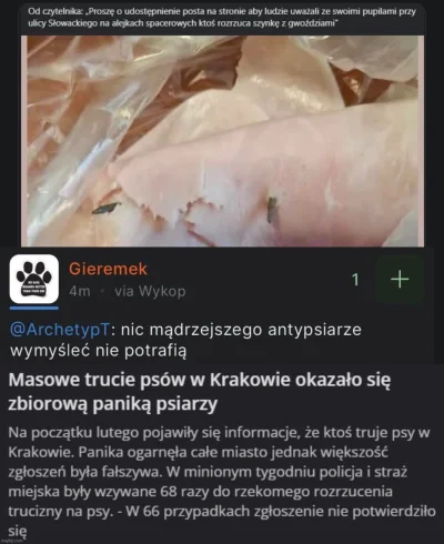 greedy_critic - Psiarze są paranoikami? Stare, znałem ( ͡º ͜ʖ͡º)

#psy #psiarze #beka...