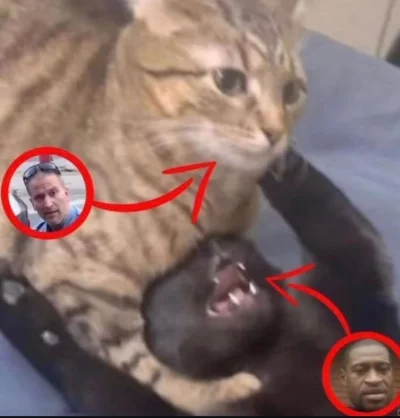 Perkelev - @hotshops_pl :3