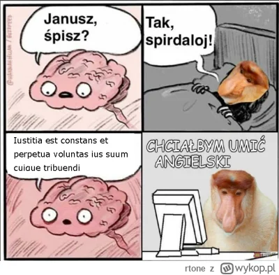 rtone - #konkursnanajbardziejgownianymemznosaczem #sztukadlasprawiedliwych