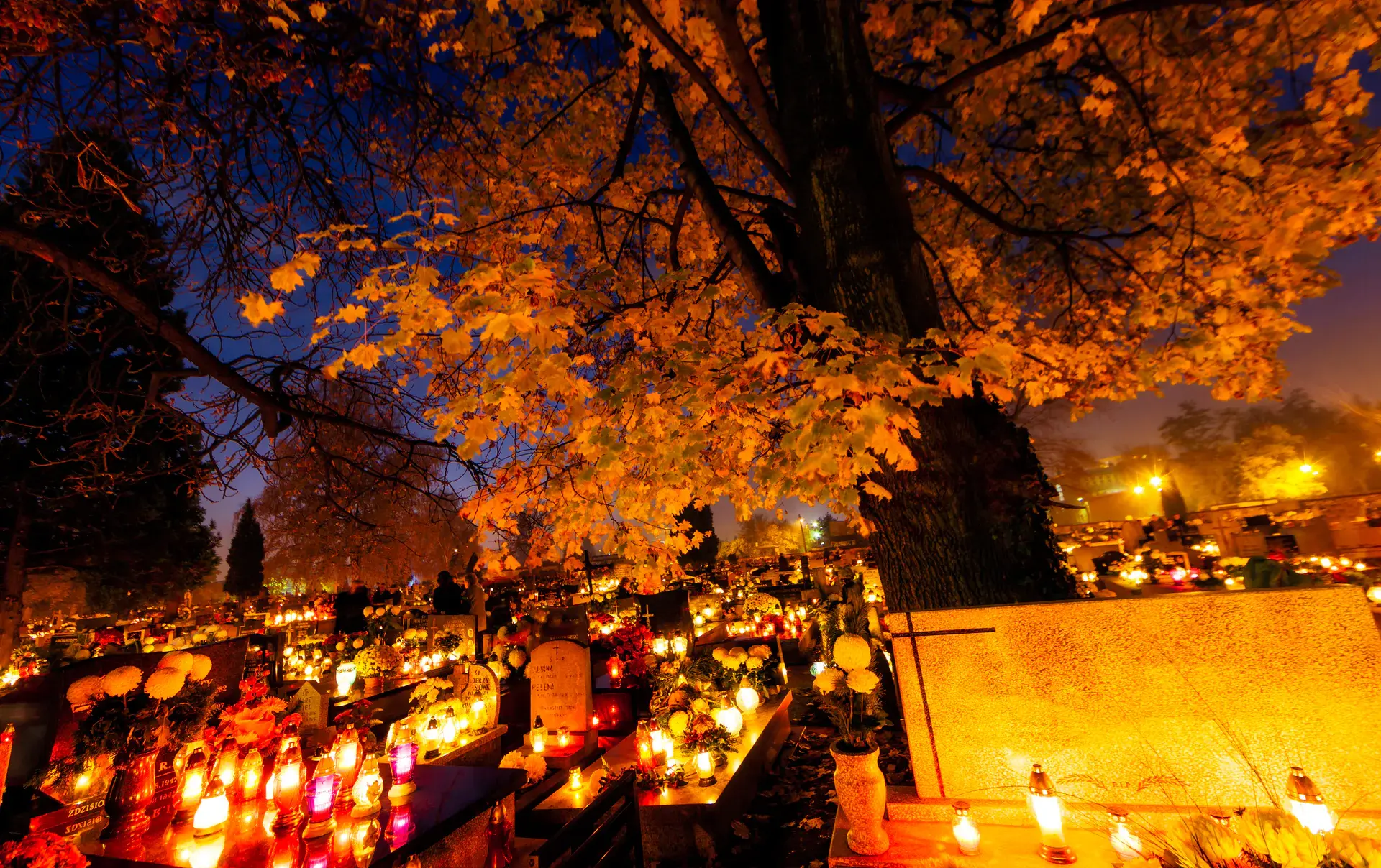 Akinori456 - Właśnie mija Dzień Uroczustości Wszystkich Świętych. Jutro będzie Dzień ...