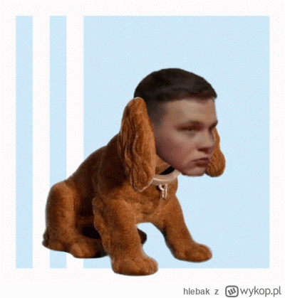 hlebak - @Bezi77 @PrimeShowMMA   Apelujemy o #!$%@? mrugały, nic nie wnosi do tej fed...