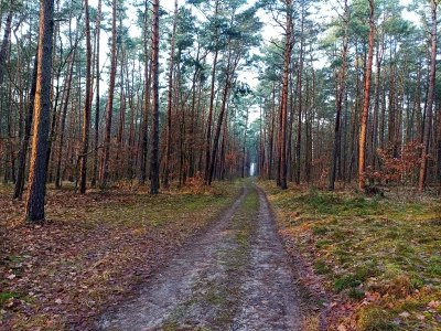 Baczny_Obserwator - Poszwendałem się dzisiaj trochę w powiatowym i miałem pecha natkn...