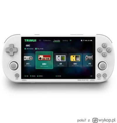 polu7 - HANHIBR Trimui Smart Pro 4.96Inch IPS Screen Game Console 128GB w cenie 96.99...