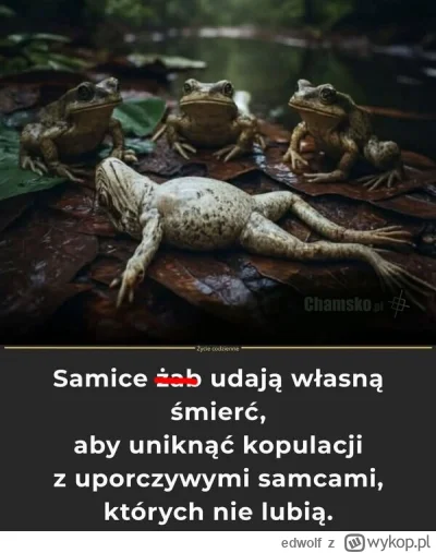 edwolf - Poprawiłem mem.
#hehszki #humorobrazkowy #logikarozowychpaskow #malzenstwo