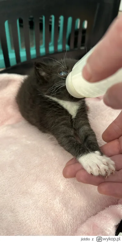 jiddlo - @fuurin: @SonidoStark @groman43 @KingOfTheWiadro o to dla mnie też nowa info...