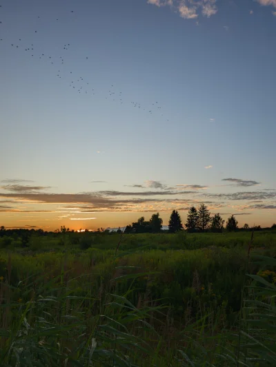 remlezar - #przegryw 

Huop dopiero wraca ze #spierdotrip, bo kroki nabijał