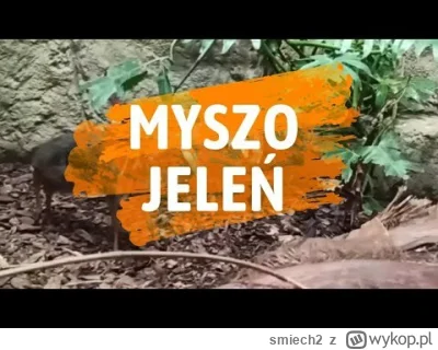 smiech2 - No to proponuję iść za ciosem... ( ͡º ͜ʖ͡º)