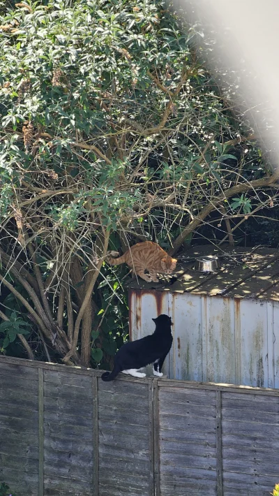 xionc0586 - @xionc0586: