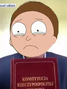 MilionoweMultikonto - @Pioter_Polanski: Morty (｡◕‿‿◕｡)