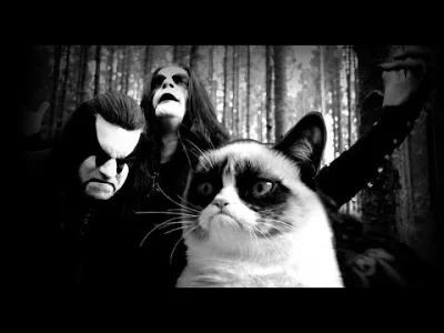 metalnewspl - #metal #blackmetal #deathmetal #heavymetal #heheszki #trolling
