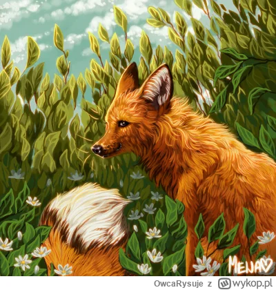 OwcaRysuje - No siemka,
Pojawiam się ja…. Jak zawsze znikąd i jak zawsze po długim cz...