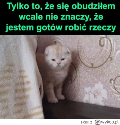 sxilll - #dziendobry #pracbaza