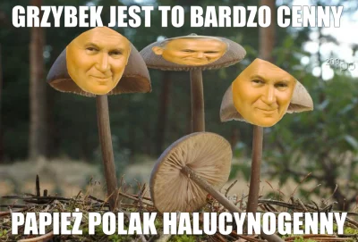 paczelok