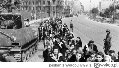 pelikan-z-wykopu-lvl99 - Wehrmacht i SS ochraniają uciekających z Warszawy polskich c...
