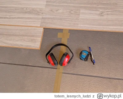 totemlesnychludzi - #kiszak granie w soulsy odmieniło moje życie na lepsze. Dzięki re...