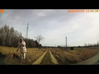 Mortifer - #psy #zwierzeta  #psiarze #patologiazewsi
https://www.youtube.com/watch?v=...