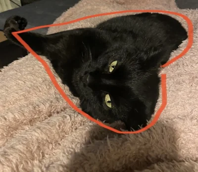 Ytarka - 乁(♥ ʖ̯♥)ㄏ
#pokazkota #koty #ninjakot #zwierzaczki #niedzielawieczur