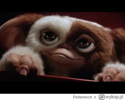 Pshemeck - #film #gimbynieznajo #80s #gizmo #mogwai