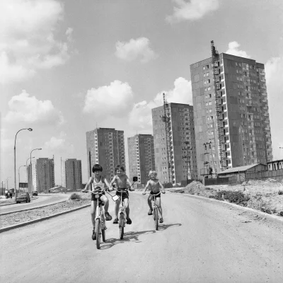 skrogg - Czasem się zastanawiam, jak wyglądało wychowanie na takim blokowisku, bo ja ...