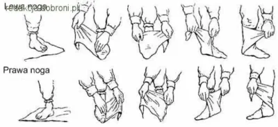 backtomy_place - Chyba pierwszy raz, gdy zgadzam się z kimś z Konfederacji (pic rel)....