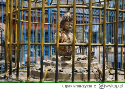 CipakKrulRzycia - #budda #heheszki #pdk