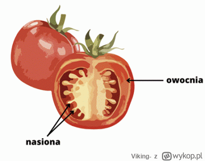 Viking- - @Inozythol Dla jasności mówię nie o świeżym z biedronki tylko o świeżym zer...