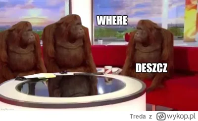 Treda - Dawać ten deszcz już #f1