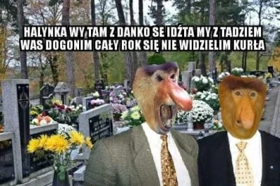 Goronco - Nitka memów cmentarnych.
#humorobrazkowy #heheszki #1listopada